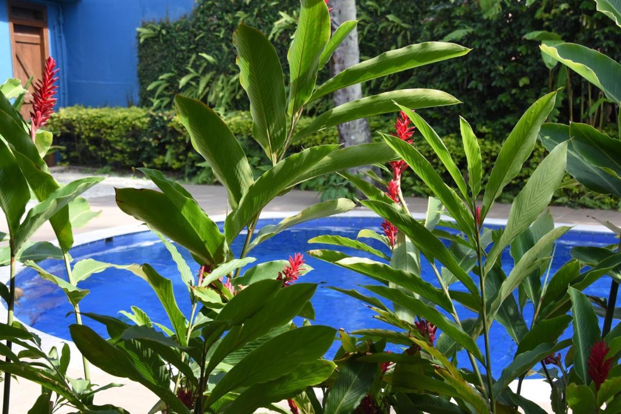 Pousada Verano เซา เซบัสเชียว ภายนอก รูปภาพ